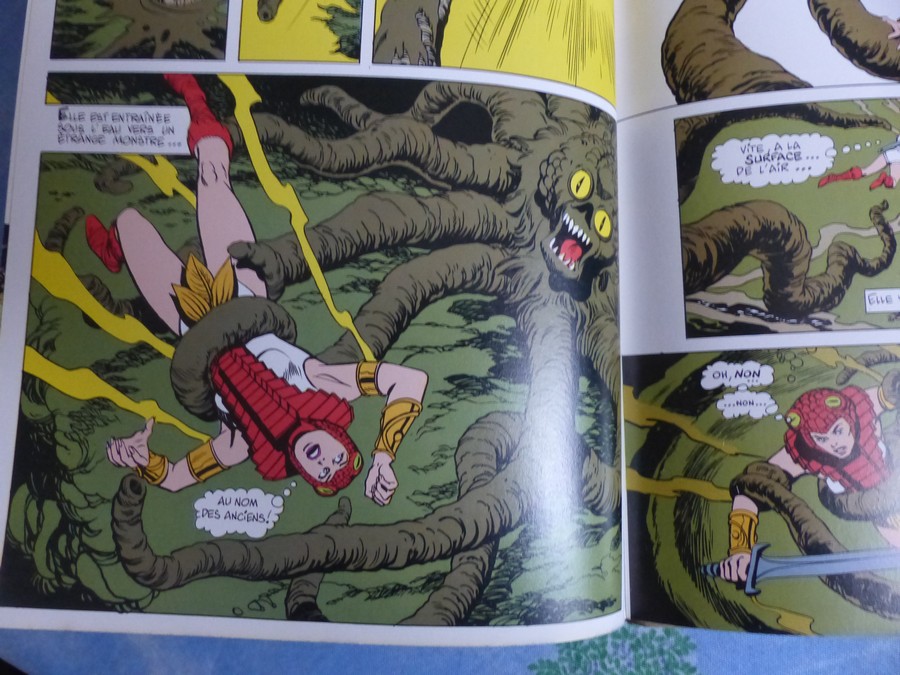 BD Masters Of The Universe – L'Oiseau De Feu – 1984 – Les Maîtres De L'Univers