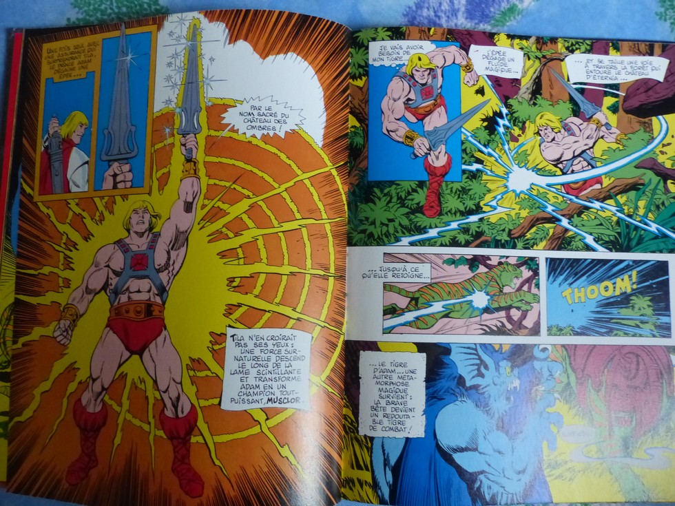 BD MOTU Les Maîtres De L’Univers : L’Oiseau De Feu, édition 1984, état Correct